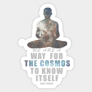 The Cosmos Sticker